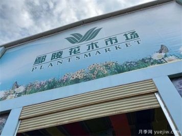 鄢陵县花木产业未必能想到的那些问题